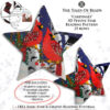 Collage image featuring different sides of the Cardinals Peyote Star with beading pattern extracts