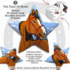Collage image featuring different sides of the Horse Peyote Star with beading pattern extracts