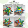 Various sides of the Hummingbird peyote star